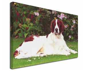 Click Image to See All the Different Products Available with this Irish Setter