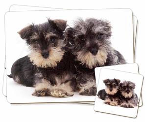 Click Image to See the Different Schnauzer Dogs & All Different Products Available