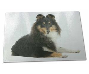 Click Image to See All the Many Different Sheltie Dogs & All Different Products Available