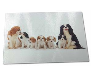 Click Image to See the Different King Charles Dogs & All the Different Products Available