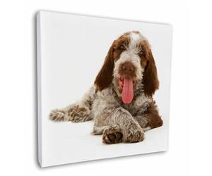 Click Image to See the Different Spinone Images & All the Different Products Available