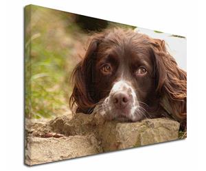 Click Image to See All the Many Different Springer Spaniel Dogs & All Different Products Available