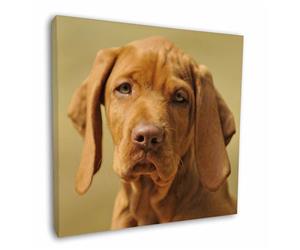 Click Image to See the Different Vizsla Dogs & All the Different Products Available