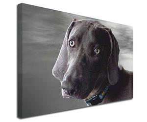 Click Image to See All the Different Products Available with this Weimaraner