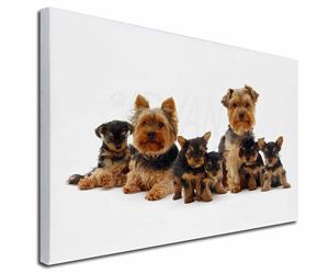 Click Image to See All the Many Different Yorkshire Terriers & All the Different Products Available