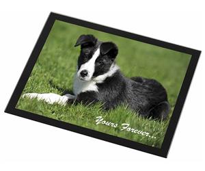 Border Collie Dog "Yours Forever..."