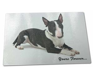 Brindle and White Bull Terrier "Yours Forever..."