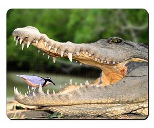 Nile Crocodile and Bird in Mouth