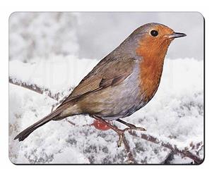 Robin on Snow Branch