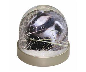 Click Image to See All Badgers and Different Badger Products in this Section