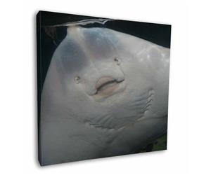 The Face of a Cute Stingray