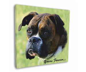 Brindle and White Boxer Dog "Yours Forever..."