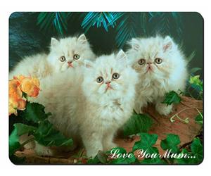 Persian Kittens Mum Sentiment