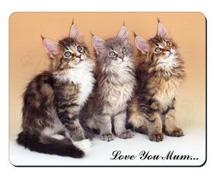 Maine Coon Kittens Mum Sentiment