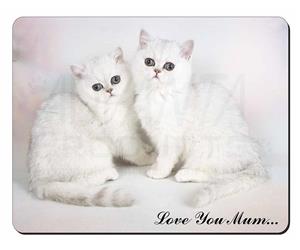 Exotic White Kittens Mum Sentiment