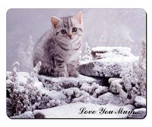 Silver Tabby Cat in Snow Mum Sentiment