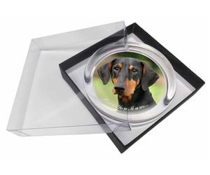 Click Image to See All 38 Different Products Available with this Doberman
