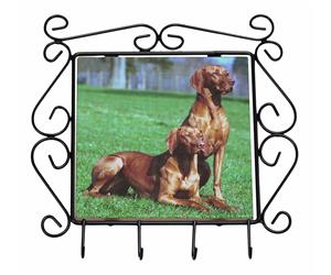 Click to see all products with these Hungarian Vizslas.