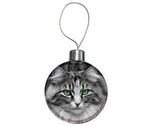 Click to see all products with this Silver Tabby cat.