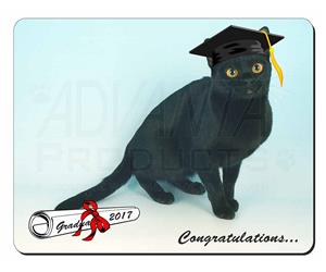 Graduation Black Cap and Gown Cat