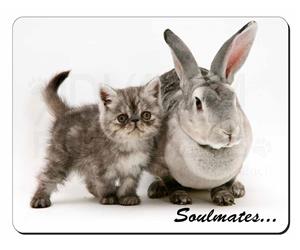 Rabbit and Kitten Soulmates Sentiment