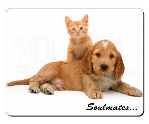 Spaniel and Kitten 