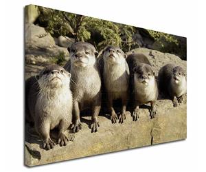 Click Image to See All Otter Images & Products in this Section