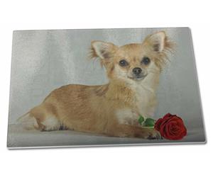 Chihuahua with Red Rose