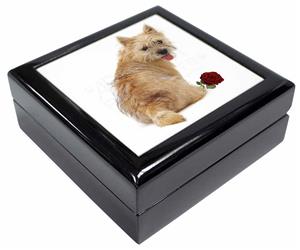 Cairn Terrier with Red Rose