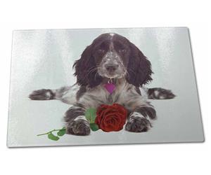 Blue Roan Cocker Spaniel with Rose