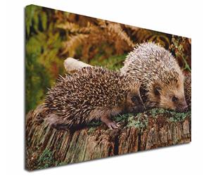Click to see all products with this Mother and Baby Hedgehog.