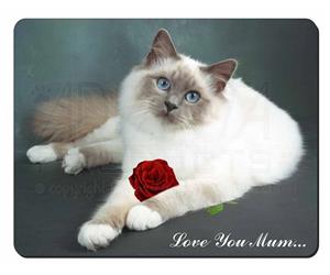 Birman Cat with Rose 