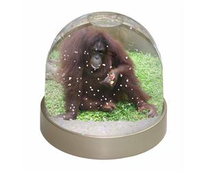 Click to see all products with this Orangutan.