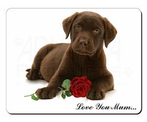 Puppy with Rose 