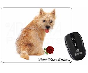 Cairn Terrier+Rose 