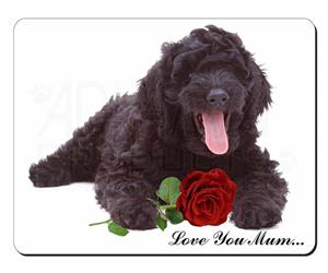 Labradoodle with Rose 
