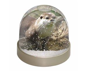 Click to see all products with this River Otter.