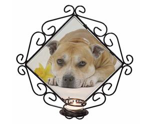 Personalised Red Staffie AD-SBT3DA2