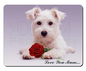 Westie with Rose 
