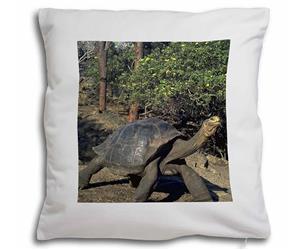 Click image to see all products with this Giant Galapagos Tortoise.