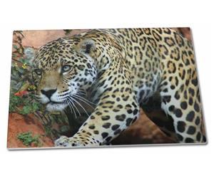 Click Image to See All 38 Different Products with this Jaguar Printed Onto