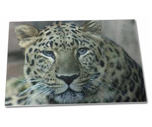Click Image to See All 38 Different Products with this Leopard Printed Onto