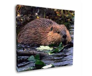 Click to see all products with this Beaver.