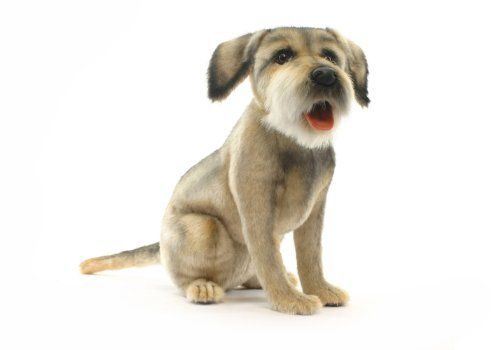 Realistic Border Terrier Laying Soft Toy 30cm by Suki Gifts for sale online 