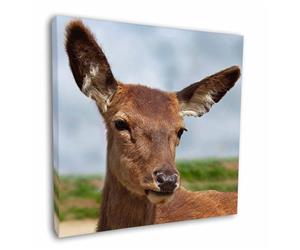 Click to see all products with this Red Deer.