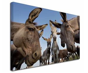 Click Image to See Donkey Images and All the Different Products with Donkeys