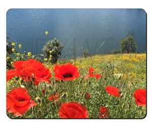 Red Poppies by Lake