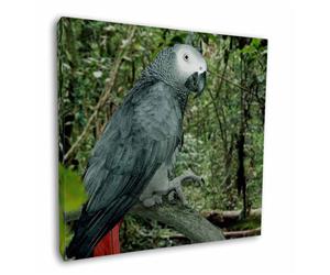 Click image to see all products with this African Grey Parrot.