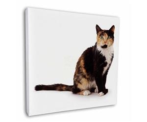 Click to see all products with this Tortoiseshell cat.