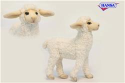 hansa lamb
